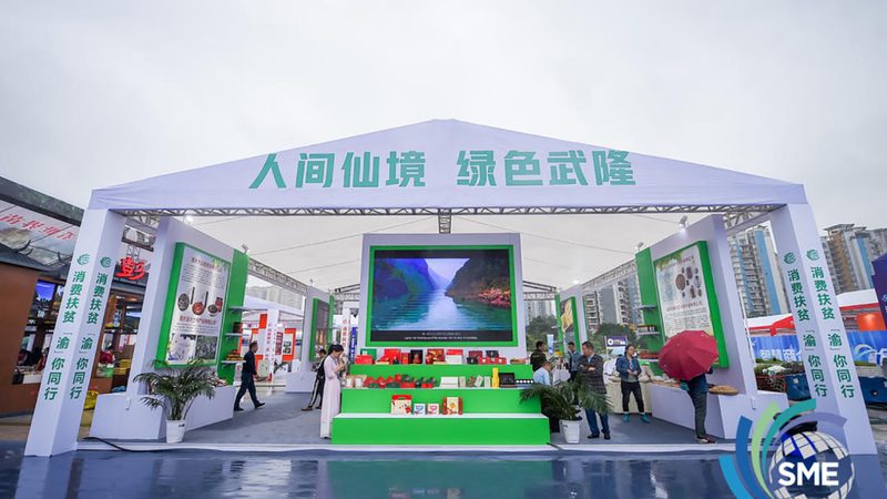 画册设计流程：从规范到标准，揭秘专业流程
